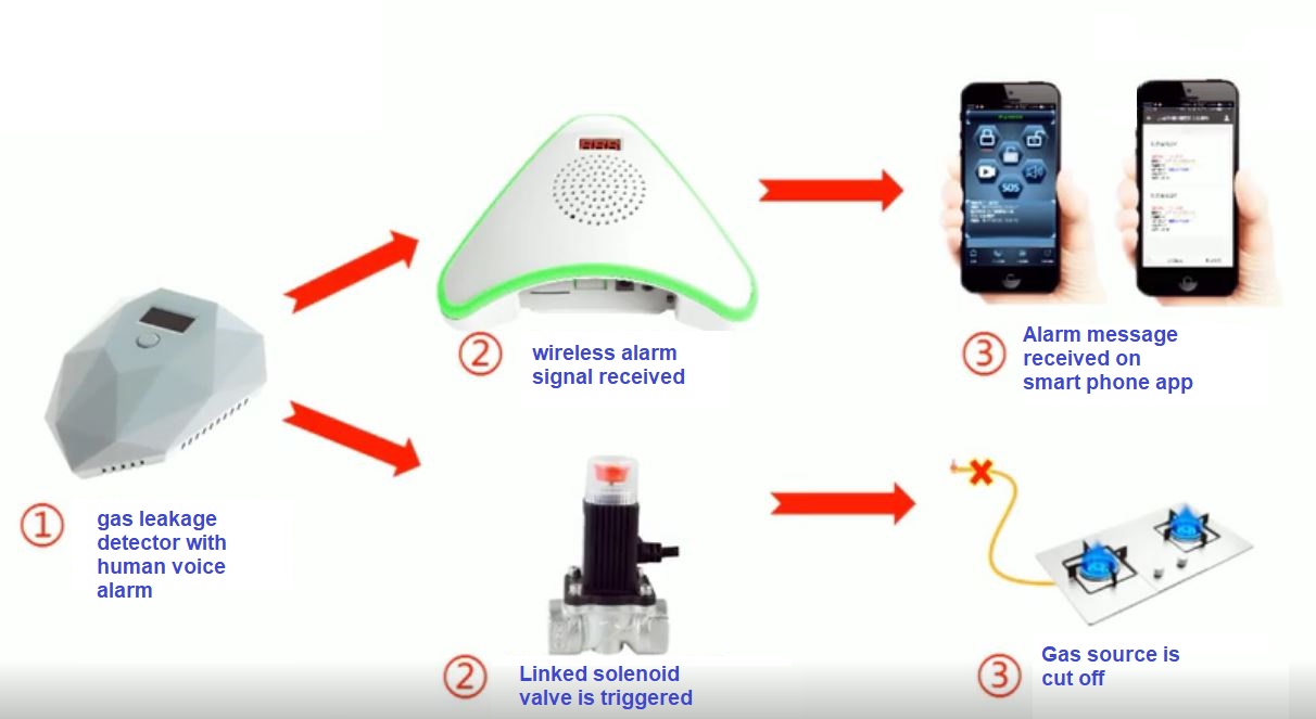 flammable gas detector T501.JPG